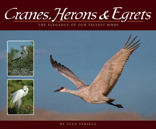 Cover of the book Cranes, Herons & Egrets by Stan Tekiela, Adventure Publications
