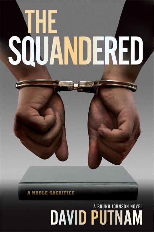 Cover of the book The Squandered by David Putnam, Oceanview Publishing