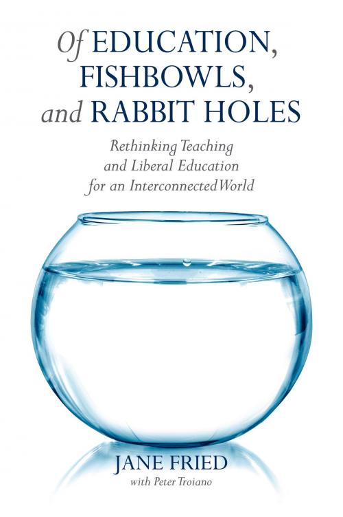 Cover of the book Of Education, Fishbowls, and Rabbit Holes by Jane Fried, Stylus Publishing