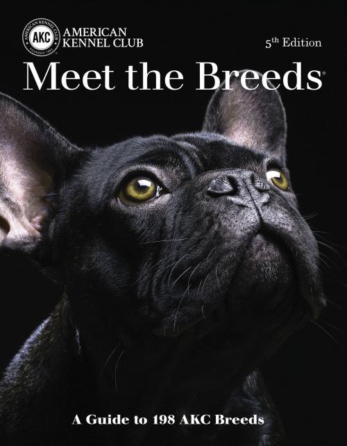Cover of the book Meet the Breeds by , CompanionHouse Books