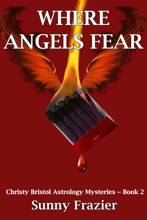 Cover of the book Where Angels Fear by Sunny Frazier, Black Opal Books