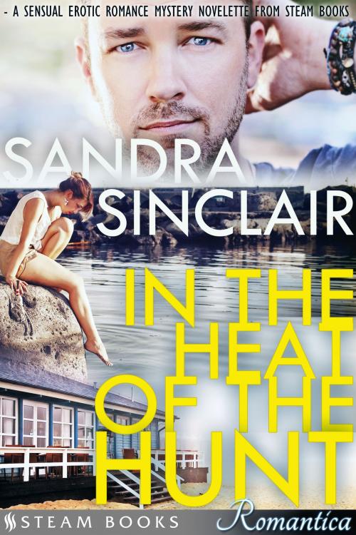 Cover of the book In the Heat of the Hunt - A Sensual Erotic Romance Mystery Novelette from Steam Books by Sandra Sinclair, Steam Books, Steam Books