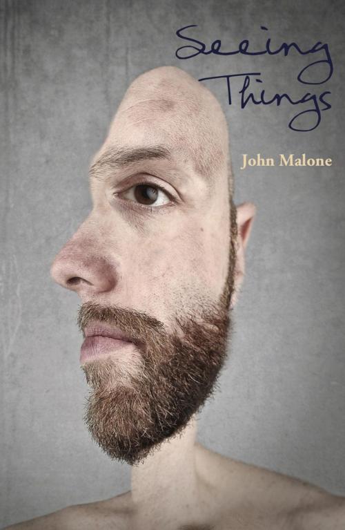 Cover of the book Seeing Things by John Malone, Ginninderra Press