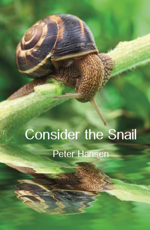 Cover of the book Consider the Snail by Peter Hansen, Ginninderra Press