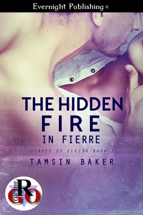 Cover of the book The Hidden Fire in Fierre by Tamsin Baker, Evernight Publishing