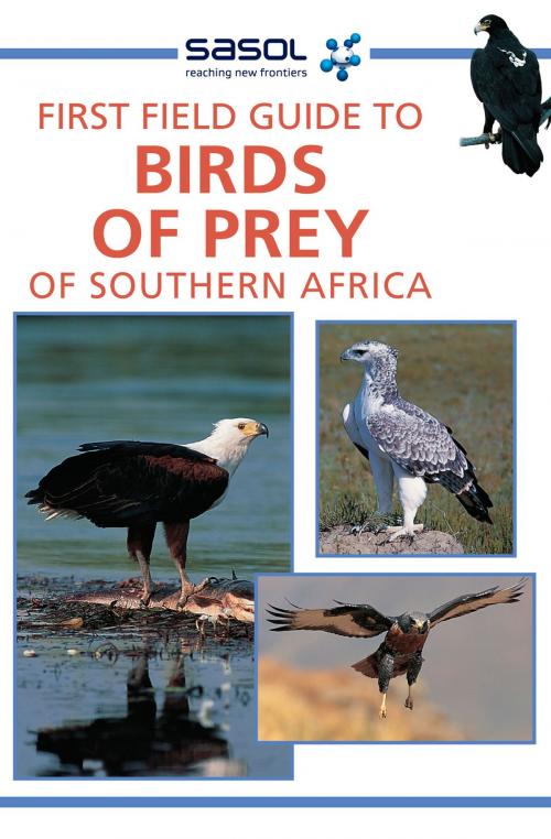 Cover of the book First Field Guide to Birds of Prey of Southern Africa by David Allan, Penguin Random House South Africa