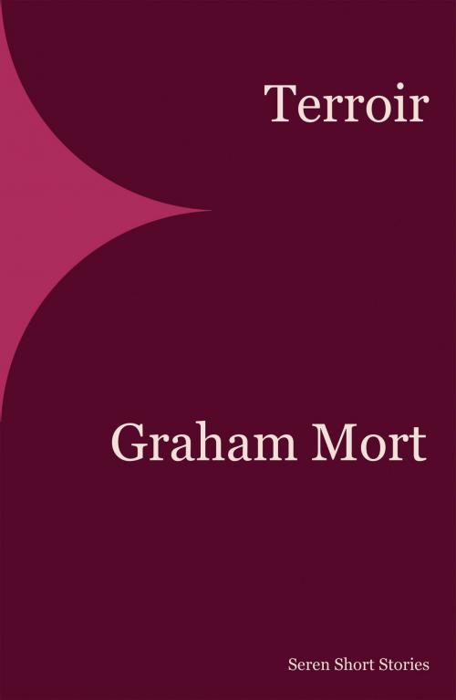 Cover of the book Terroir by Graham Mort, Seren