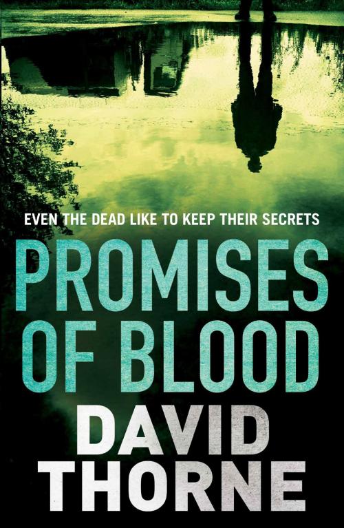 Cover of the book Promises of Blood by David Thorne, Atlantic Books