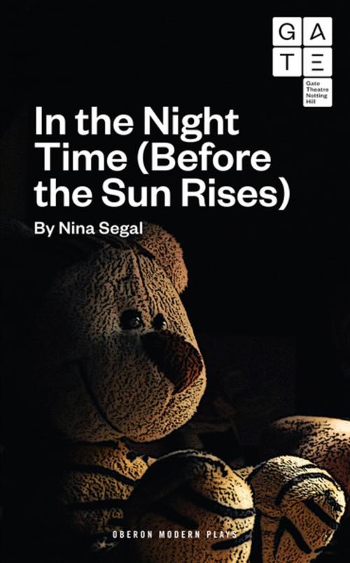 Cover of the book In the Night Time (Before the Sun Rises) by Nina Segal, Oberon Books