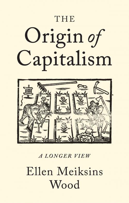 Cover of the book The Origin of Capitalism by Ellen Meiksins Wood, Verso Books