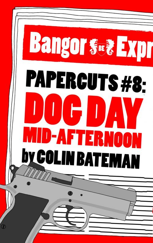 Cover of the book Papercuts 8: Dog Day Mid-Afternoon by Colin Bateman, Head of Zeus