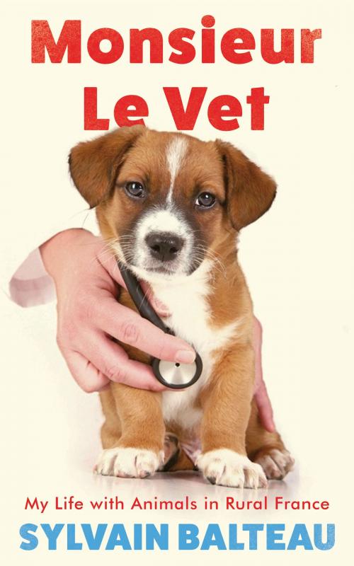 Cover of the book Monsieur le Vet by Sylvain Balteau, Icon Books Ltd