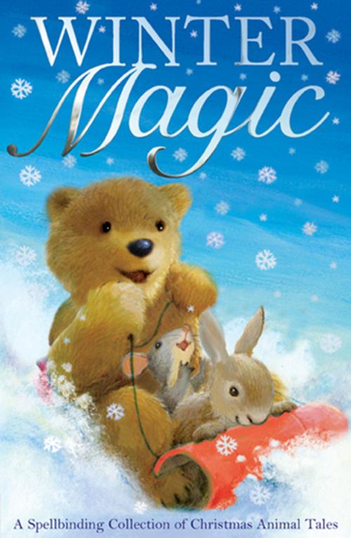 Cover of the book Winter Magic by Various, Stripes Publishing