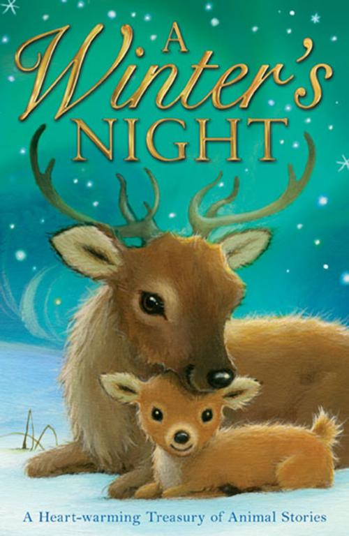 Cover of the book A Winter's Night by Various, Stripes Publishing