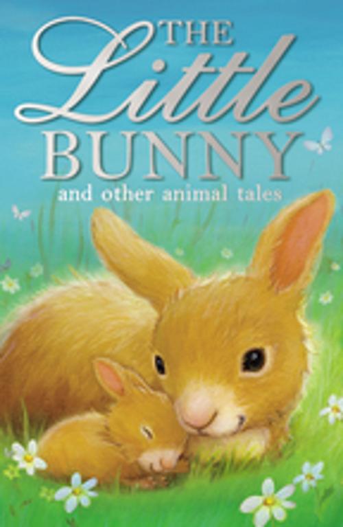 Cover of the book The Little Bunny by Various Authors, Stripes Publishing