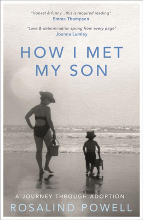 Cover of the book How I Met My Son by Rosalind Powell, Blink Publishing