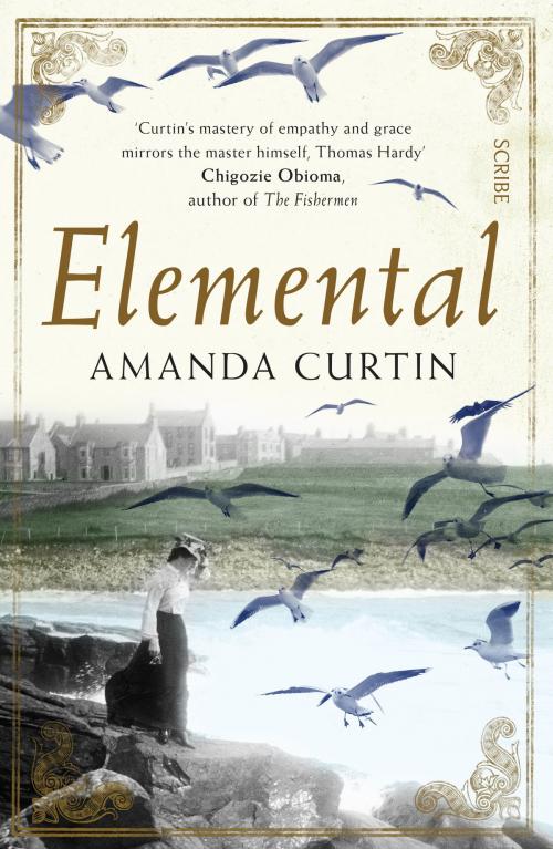 Cover of the book Elemental by Amanda Curtin, Scribe Publications Pty Ltd