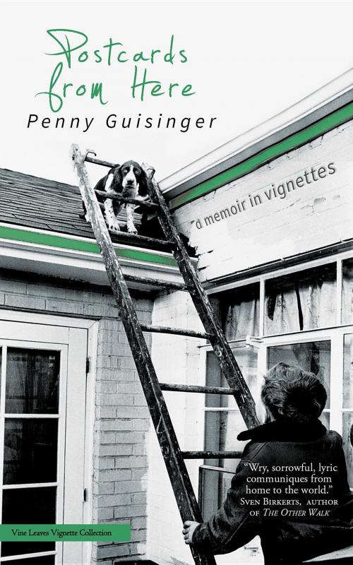 Cover of the book Postcards from Here by Penny Guisinger, Vine Leaves Press