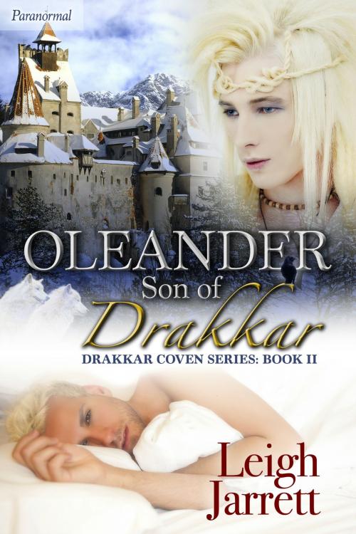 Cover of the book Oleander, Son of Drakkar by Leigh Jarrett, Steambath Press