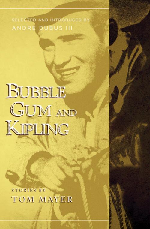 Cover of the book Bubblegum and Kipling by Tom Mayer, Counterpoint
