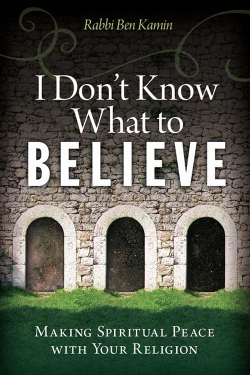 Cover of the book I Don't Know What to Believe by Ben Kamin, Central Recovery Press, LLC