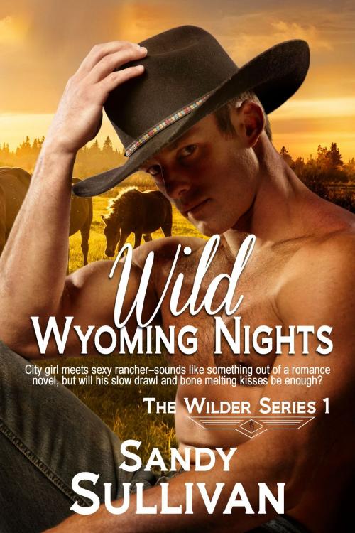 Cover of the book Wild Wyoming Nights by Sandy Sullivan, Sandy Sullivan