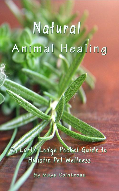Cover of the book Natural Animal Healing: An Earth Lodge Pocket Guide to Holistic Pet Wellness by Maya Cointreau, Earth Lodge