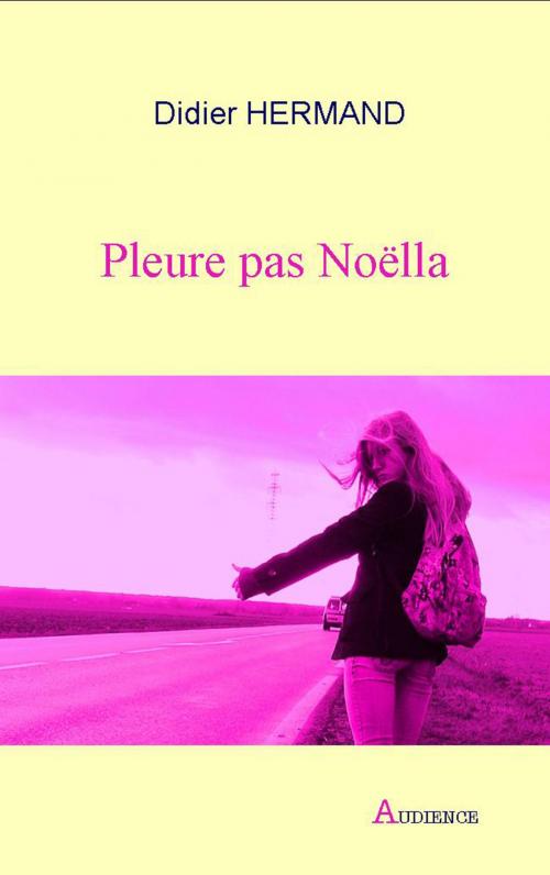 Cover of the book Pleure pas Noëlla by Didier Hermand, Didier Hermand