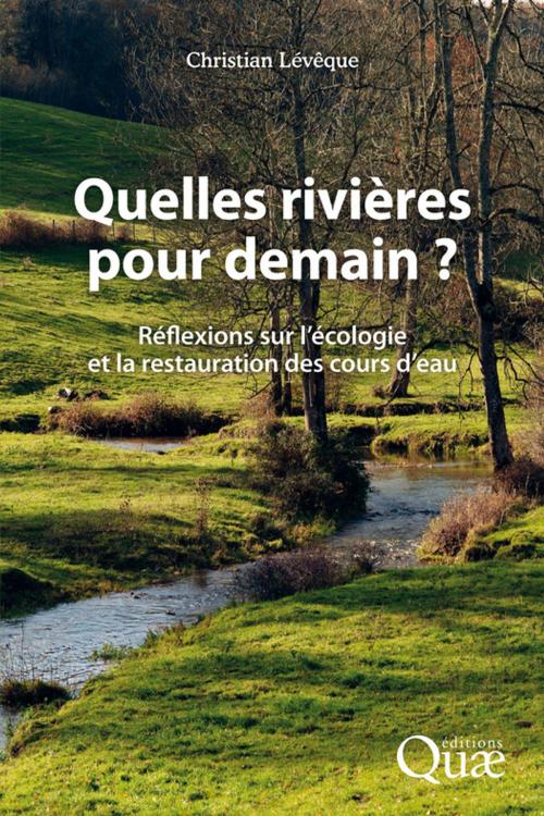 Cover of the book Quelles rivières pour demain ? by Christian Lévêque, Quae