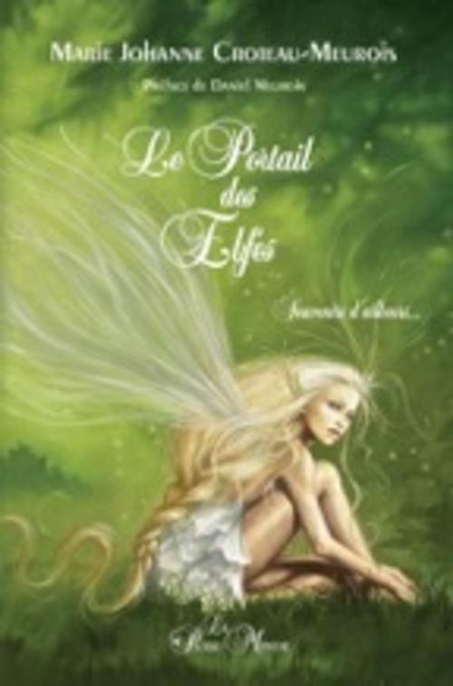 Cover of the book Le Portail des Elfes by Marie-Johanne Croteau-Meurois, Passe monde