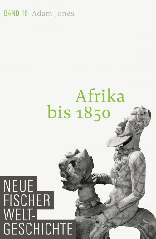 Cover of the book Neue Fischer Weltgeschichte. Band 19 by Prof. Dr. Adam Jones, FISCHER E-Books