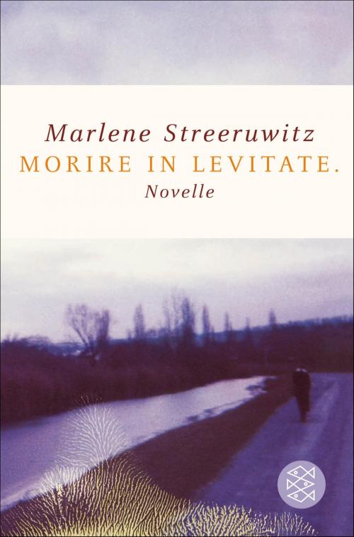 Cover of the book morire in levitate. by Marlene Streeruwitz, FISCHER E-Books
