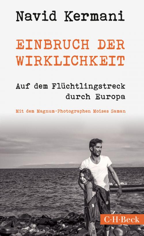 Cover of the book Einbruch der Wirklichkeit by Navid Kermani, C.H.Beck