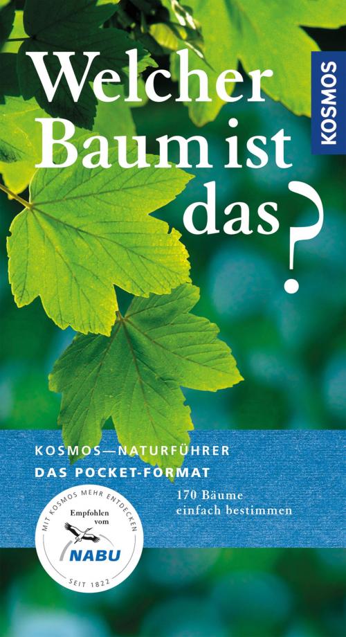 Cover of the book Welcher Baum ist das? by Joachim Mayer, Franckh-Kosmos Verlags-GmbH & Co. KG