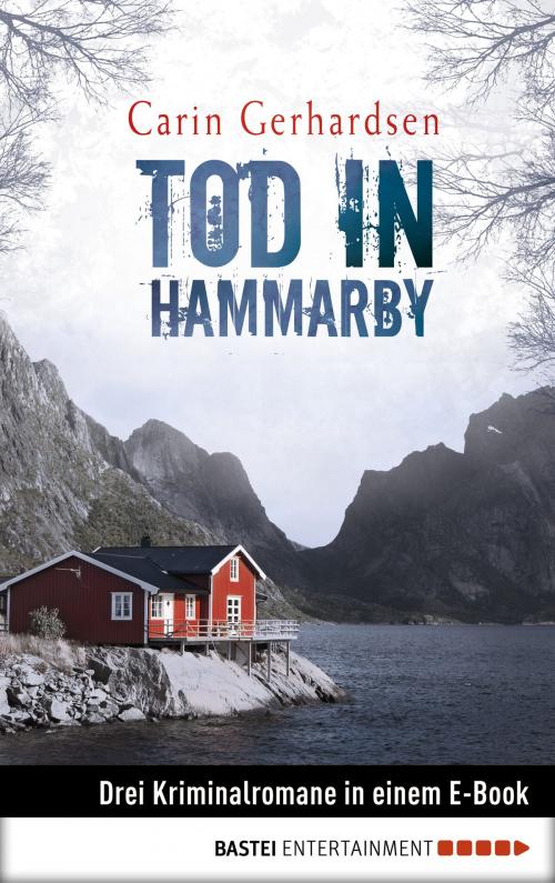 Cover of the book Tod in Hammarby by Carin Gerhardsen, Bastei Entertainment