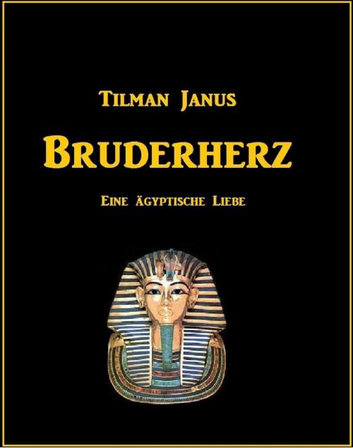 Cover of the book Bruderherz by Tilman Janus, neobooks