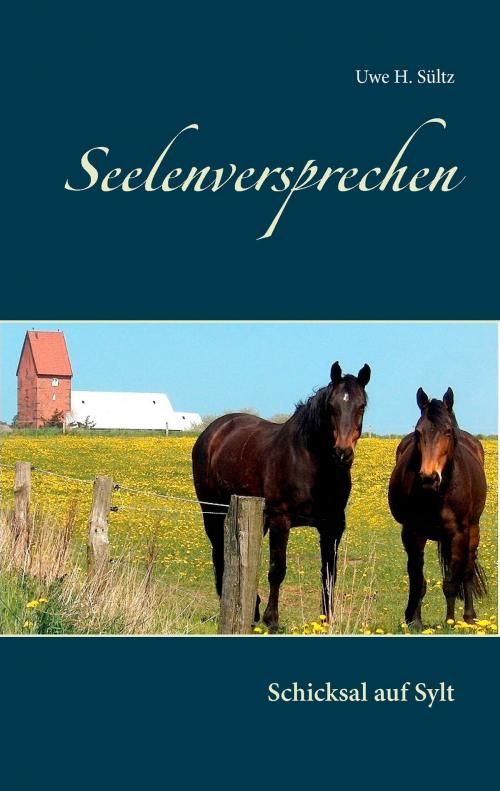 Cover of the book Seelenversprechen by Uwe H. Sültz, Books on Demand