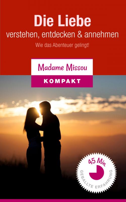 Cover of the book Die Liebe verstehen, entdecken & annehmen - Wie das Abenteuer gelingt! by Madame Missou, BookRix
