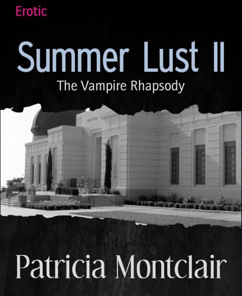 Cover of the book Summer Lust II by Patricia Montclair, BookRix