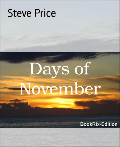 Cover of the book Days of November by Steve Price, BookRix