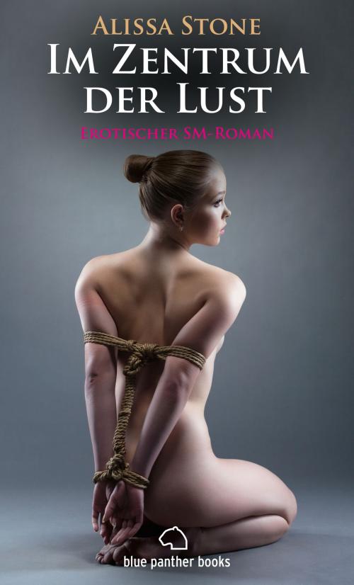 Cover of the book Im Zentrum der Lust | Roman by Alissa Stone, blue panther books