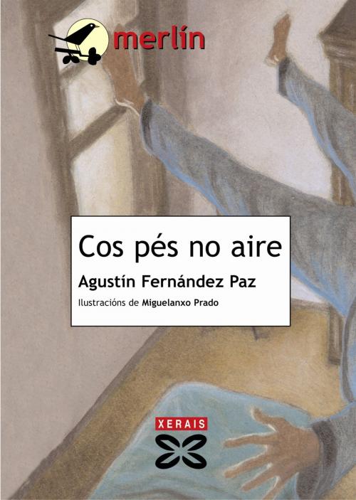 Cover of the book Cos pés no aire by Agustín Fernández Paz, Edicións Xerais
