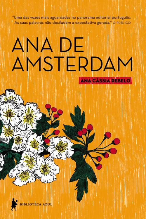 Cover of the book Ana de Amsterdam by Ana Cássia Rebelo, Globo Livros