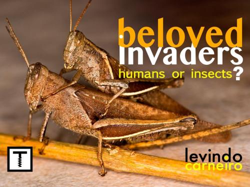 Cover of the book Beloved Invaders by Levindo Carneiro, TrUqUe