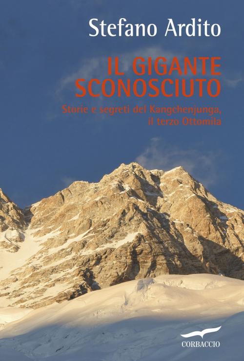 Cover of the book Il gigante sconosciuto by Stefano Ardito, Corbaccio
