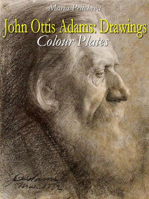 Cover of the book John Ottis Adams: Drawings Colour Plates by Maria Peitcheva, Maria Peitcheva