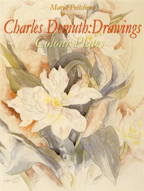Cover of the book Charles Demuth: Drawings Colour Plates by Maria Peitcheva, Maria Peitcheva