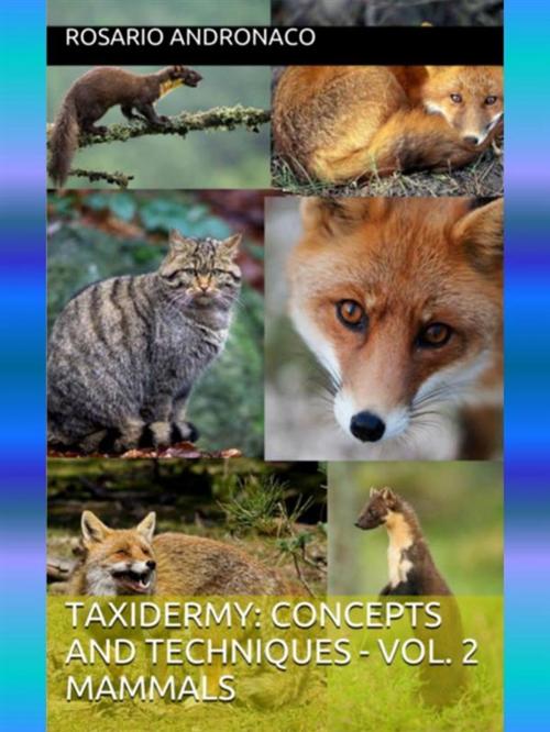 Cover of the book Taxidermy: concepts and techniques - Vol. 2 Mammals by Rosario Andronaco, Rosario Andronaco