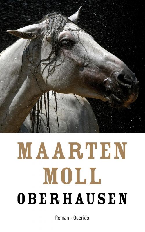 Cover of the book Oberhausen by Maarten Moll, Singel Uitgeverijen