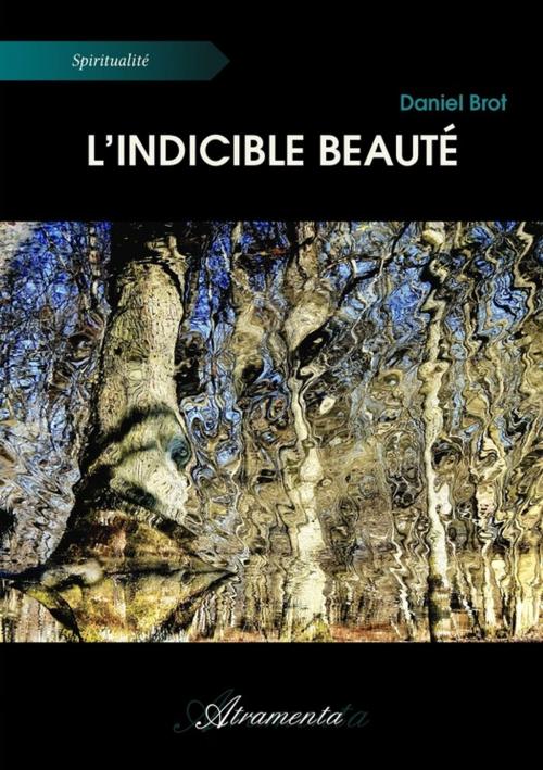 Cover of the book L'indicible beauté by Daniel Brot, Atramenta